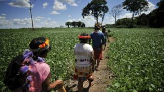 Índios Guarani-Kaiowá (crédito: Agência Brasil)