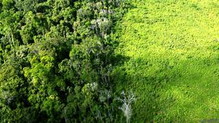 Desforestación en la Amazonia