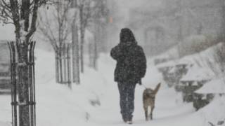 美國密歇根一居民風雪中遛狗