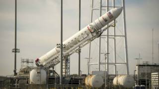 cygnus