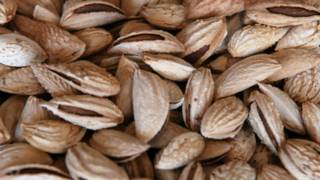 Almendra