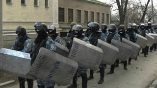 новини, Беркут,
