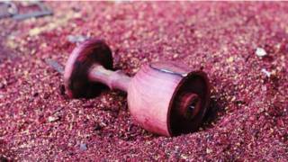 Palo de rosa