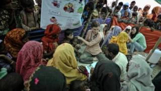 msf myanmar