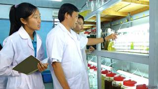 Chương trình giáo dục của Quỹ VEF