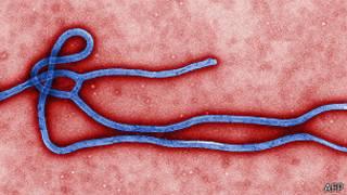 Virus de Ébola