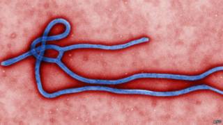 Virus de Ébola