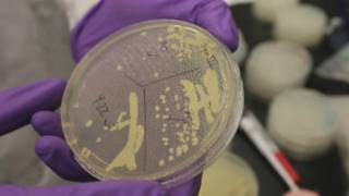 这项研究成果把人工合成生物技术中的理论变成现实