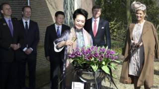 习近平访荷兰期间,彭丽媛在荷兰为新培育的郁金香命名。