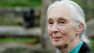 Jane Goodall