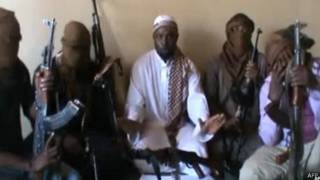 Boko Haram (AFP)