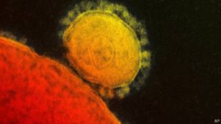 Virus Mers