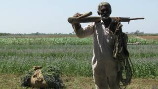 गुजरात का किसान