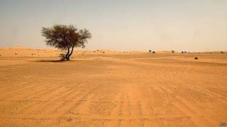 Desierto del Sahara en el sur de Argelia
