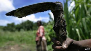 Uburimyi budateye imbere buri mu biteza inzara mu Burundi