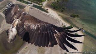 capungaero drone