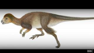 Nau'in kadangaren Dinosaurs mai gashi a jikinsa