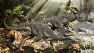 Dinosaurios