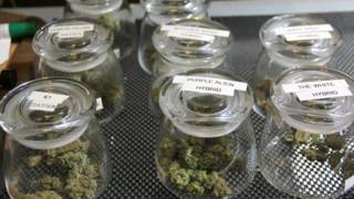 marijuana