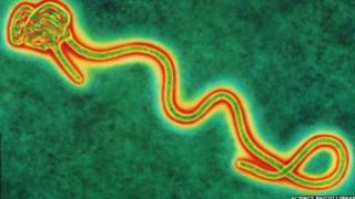 Sierra Leone Ebola