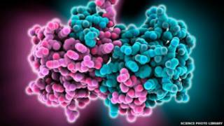 Kwayar cutar Ebola