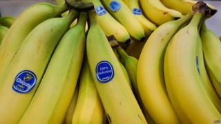 Bananas Chiquita