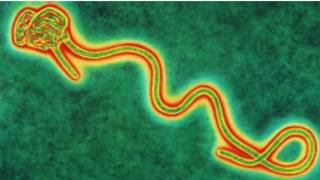 Yaki da cutar ebola