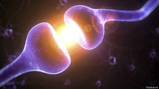 Neuronas