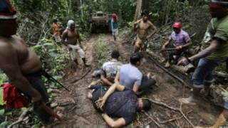 brasil amazon