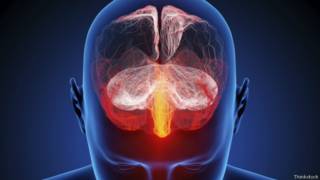 Ilustración del cerebro humano