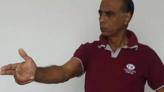 अमेरिकाय वी नारायणन