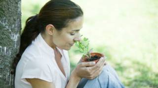 Mujer huele planta de salvia.