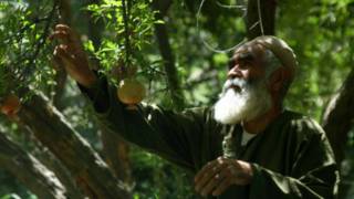 Un ramasseur de fruits près de la ville de Kandahar