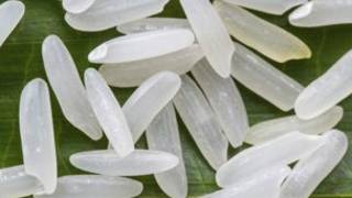 Rice Grain