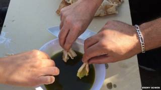 Aceite de oliva