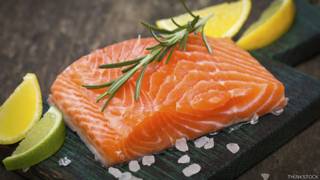Salmón