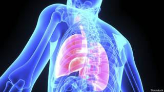 Pulmones