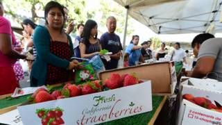 Fresas de California