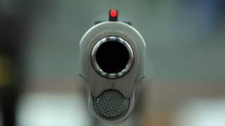 gun