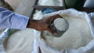 myanmar_rice