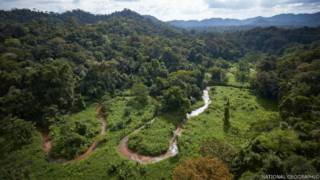 Hallazgo en Honduras