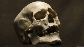 Calavera