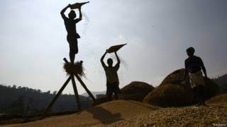 भारतीय किसान