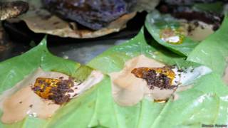 paan_bell_image_02