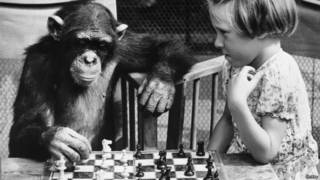 La busqueda de la inteligencia ha sido constante, pero, ¿qué pasa si la busqueda ha sido en vano?