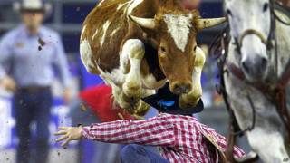 Rodeo