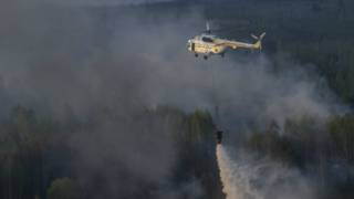 В прошлом году в зоне бушевал пожар, который газили несколько дней