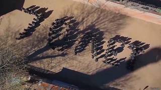 Заключенные в Петербурге выстроились в поздравление с 70-летием Победы