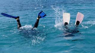 Two people diving in the sea