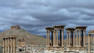 palmyra